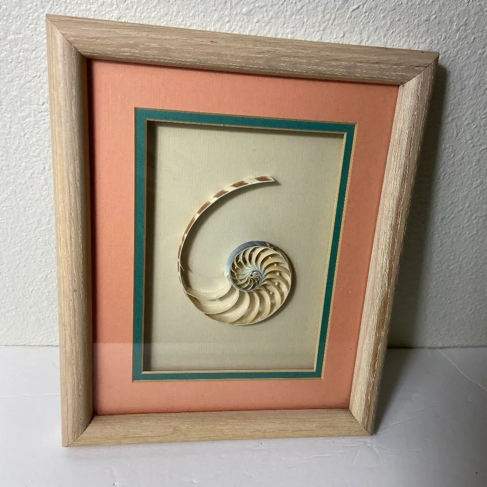 Rich & Laura Phillips Handcrafted Wall Decor Sea / Ocean Shell
